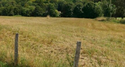 Pouilly Maison neuve - 2688679-11218annonce120261023IxuO0.jpeg Les Maisons Extraco