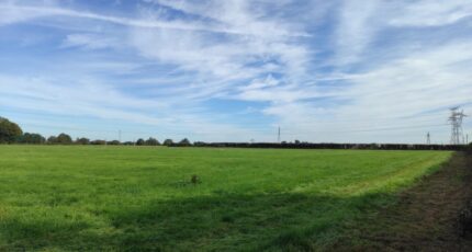 Norolles Maison neuve - 2689360-11216annonce120261024RxGgN.jpeg Les Maisons Extraco