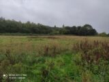 Maison à construire à Berville-sur-Mer (27210) 2688809-4101annonce120261023cMDoJ.jpeg Les Maisons Extraco