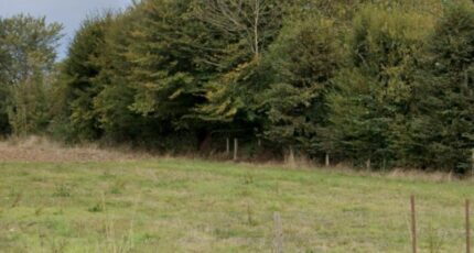 Bourgtheroulde-Infreville Maison neuve - 2689444-11929annonce120261024qTUNq.jpeg Les Maisons Extraco