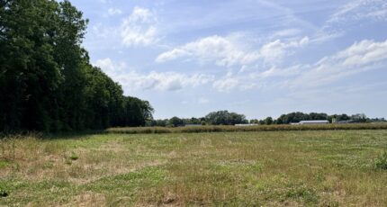 Freneuse Maison neuve - 2689490-11929annonce120261024TlyoS.jpeg Les Maisons Extraco