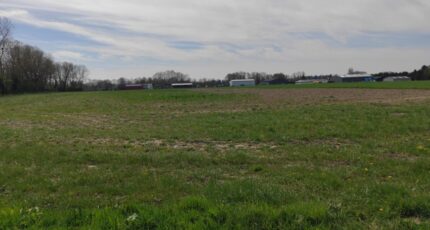 Barquet Maison neuve - 2689705-11214annonce120261025t3uCW.jpeg Les Maisons Extraco