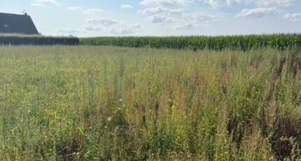 Grémonville Maison neuve - 2690794-11217annonce1202610266TLpD.jpeg Les Maisons Extraco