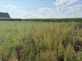 Maison à construire à Grémonville (76970) 2690791-11217annonce1202610266TLpD.jpeg Les Maisons Extraco