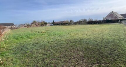 Orival Maison neuve - 2689830-11929annonce120261025mXO5T.jpeg Les Maisons Extraco