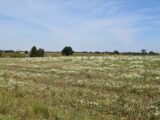Maison à construire à Berville-en-Roumois (27520) 2689825-11929annonce120261025R0poL.jpeg Les Maisons Extraco
