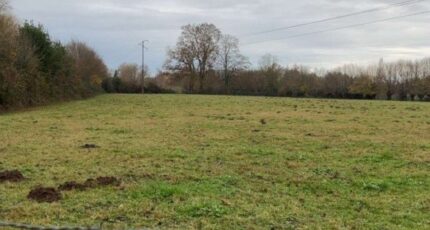 Forges-les-Eaux Maison neuve - 2692362-11690annonce120261027HDq48.jpeg Les Maisons Extraco