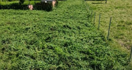 Saint-Ouen-sous-Bailly Terrain à bâtir - 2600332-4093annonce120260811RIKGH.jpeg Les Maisons Extraco
