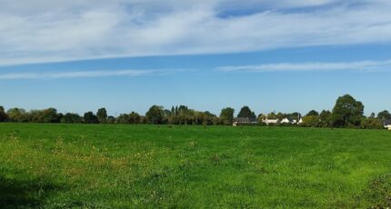 Moyaux Maison neuve - 2696076-11216annonce1202610304KdIv.jpeg Les Maisons Extraco